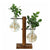 Hydroponic Plant Terrarium Vasevase Decoration Home Glass Bottle Hydroponic Desktop Decoration Office Green Plant Small Potted