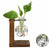 Hydroponic Plant Terrarium Vasevase Decoration Home Glass Bottle Hydroponic Desktop Decoration Office Green Plant Small Potted