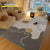 VIKAMA Modern Simple Living Room Fully Covered Carpet Sofa Tea Table Wear  Anti slip Easy to Care for Crystal Velvet Floor Mat
