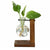 Hydroponic Plant Terrarium Vasevase Decoration Home Glass Bottle Hydroponic Desktop Decoration Office Green Plant Small Potted