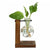 Hydroponic Plant Terrarium Vasevase Decoration Home Glass Bottle Hydroponic Desktop Decoration Office Green Plant Small Potted