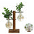 Hydroponic Plant Terrarium Vasevase Decoration Home Glass Bottle Hydroponic Desktop Decoration Office Green Plant Small Potted